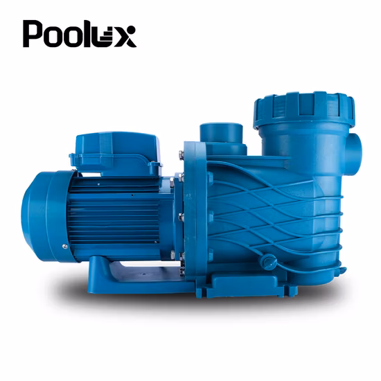 High Quality Electrical Water Pump for SPA and Swimming Pool Pump