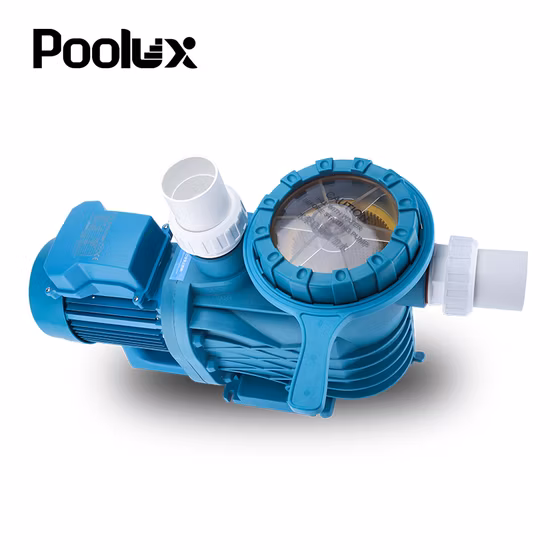 High Quality Electrical Water Pump for SPA and Swimming Pool Pump